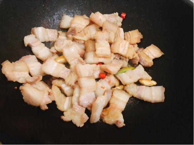 豬肉白菜燉粉條是怎么做的(白菜燉粉條怎么做才好吃不放肉)(4)